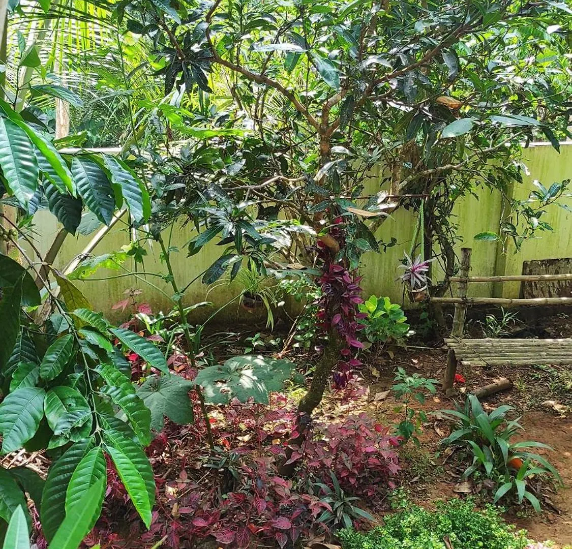 Quarto em Acomodações Particulares Joann'S Homes Kalpatta